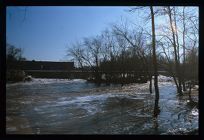 Flood waters. Color photo.